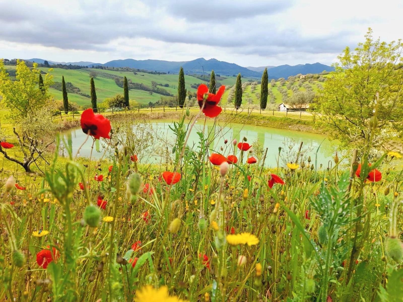 Farm stay San Tommaso Pomarance