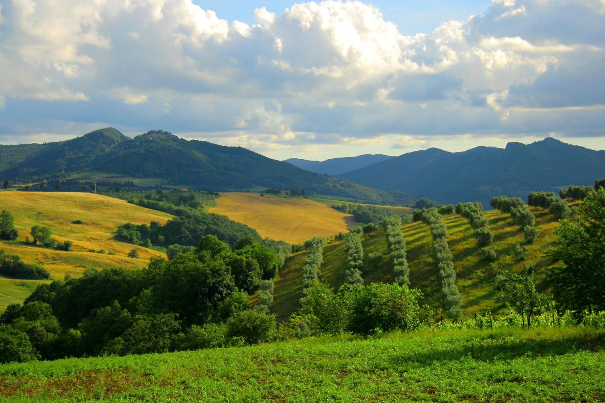 Farm stay San Tommaso *